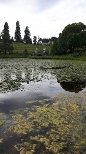 Powerscourt Estate Wicklow Ireland