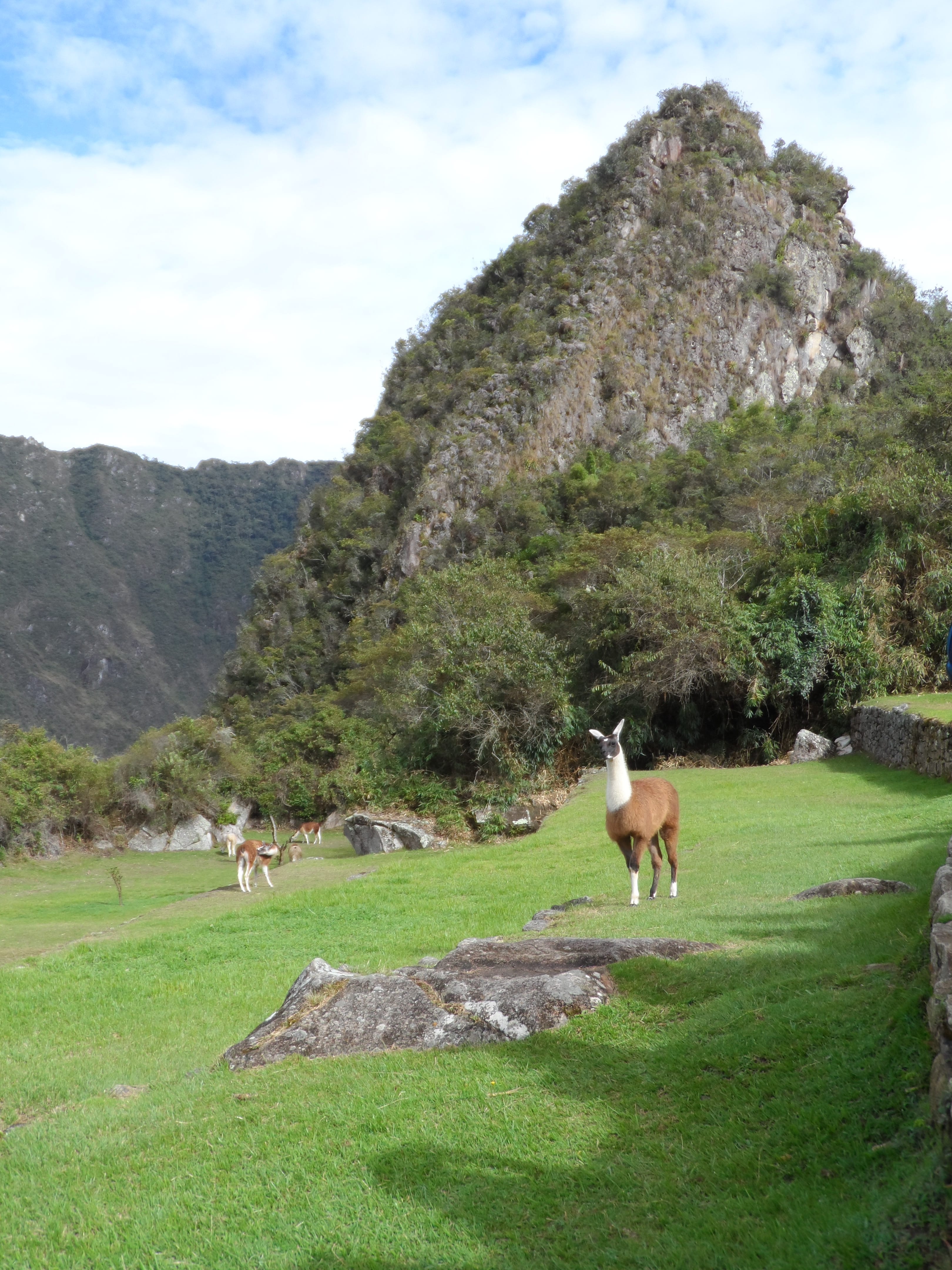 Peru Machu Picchu