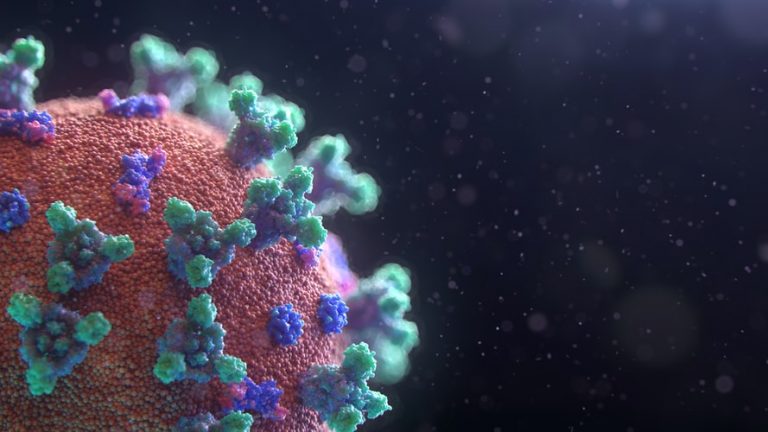Pandemic Plandemic or Paranoia Coronavirus 2021