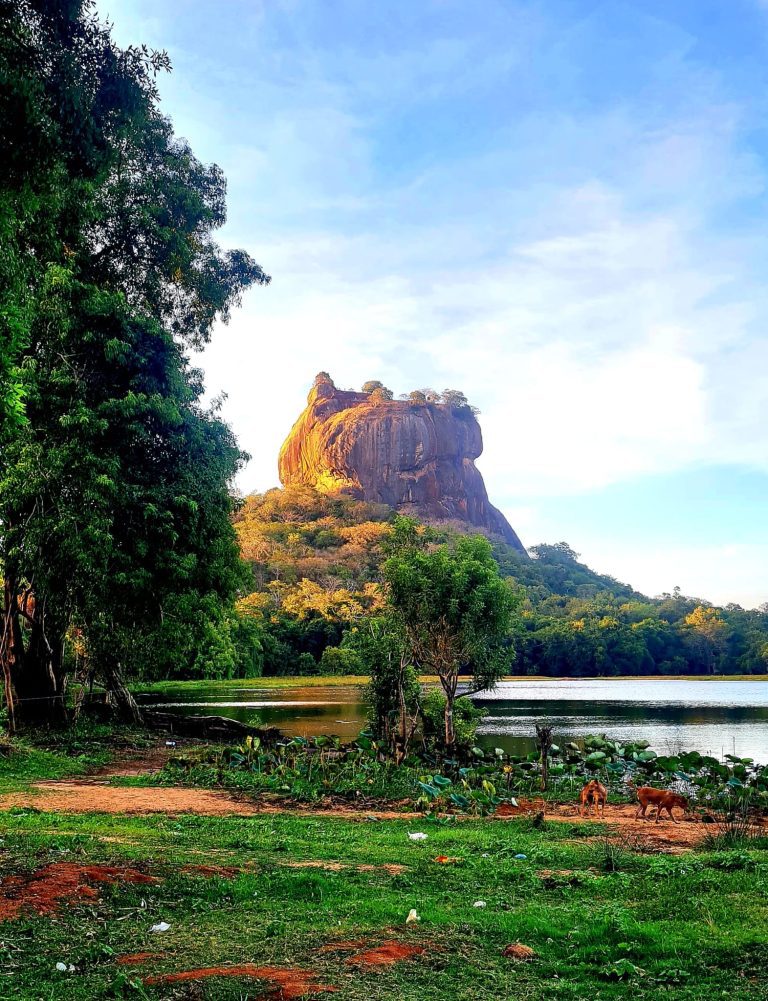 Where History Meets Heights: Our Trip to Dambulla and Sigiriya Sri Lanka