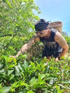 24 Hours in Ella Sri Lanka