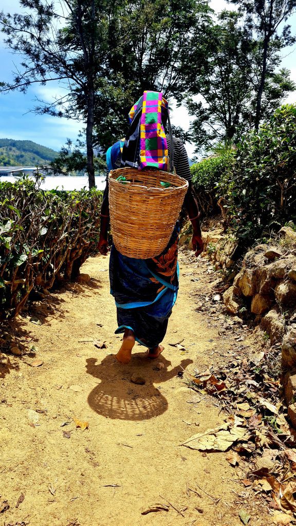 24 Hours in Ella Sri Lanka
